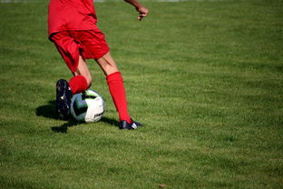 678体育app下载-内线球员在快节奏体系下的功能性演变,内线球员的主要作用 第1张